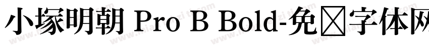 小塚明朝 Pro B Bold字体转换
